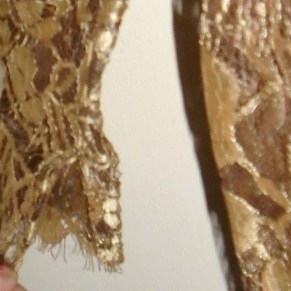 Vintage Rare Formal Gold Brown Lace Lined Dress - Picture 8 of 8